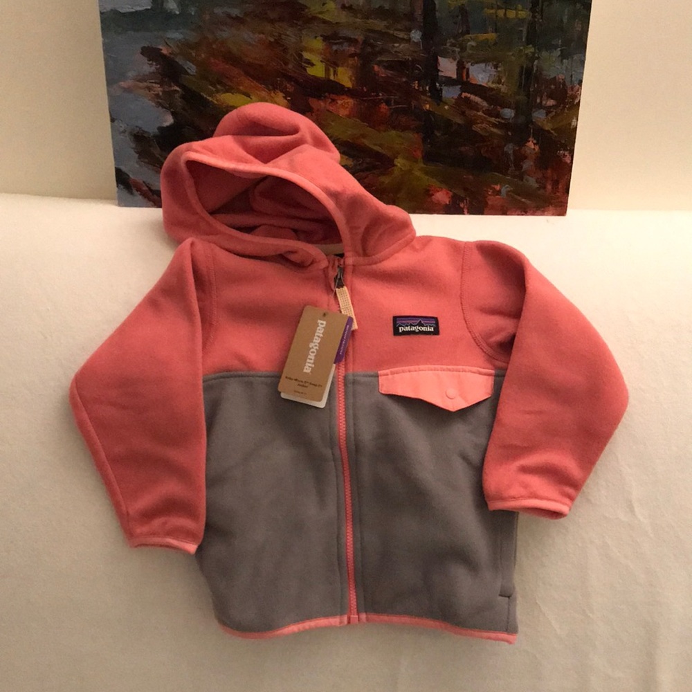 Patagonia Micro D Snap T Jacket